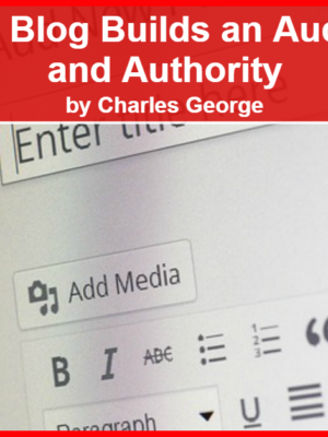 How a Blog Builds an Audience and Authority – Part 1